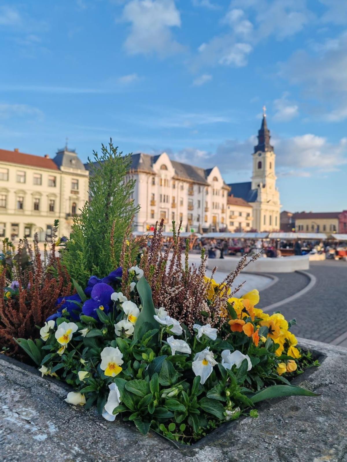 Victoria Apartment 1901 Oradea Εξωτερικό φωτογραφία
